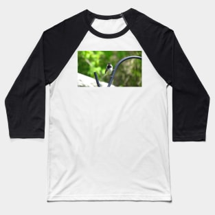 Black-capped Chickadee Staring Baseball T-Shirt